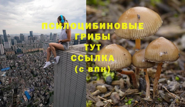 кокаин перу Алексин