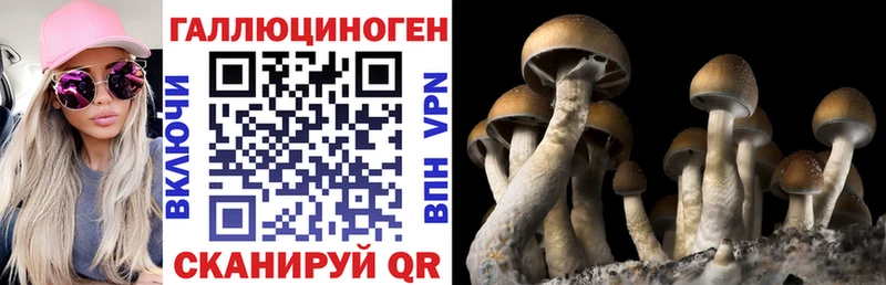Галлюциногенные грибы GOLDEN TEACHER  наркошоп  Котельники 